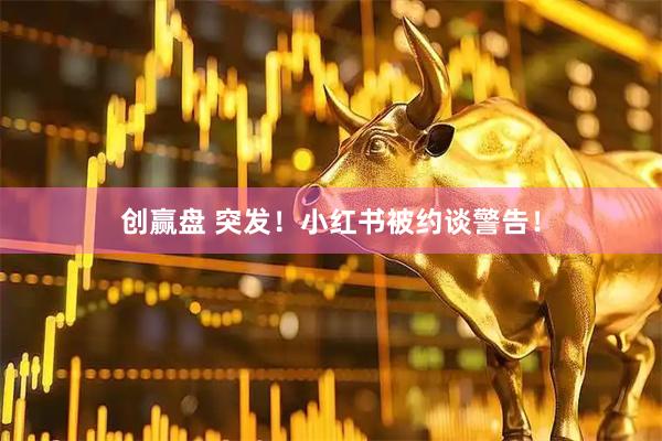 创赢盘 突发！小红书被约谈警告！