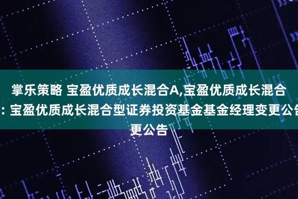 掌乐策略 宝盈优质成长混合A,宝盈优质成长混合C: 宝盈优质成长混合型证券投资基金基金经理变更公告