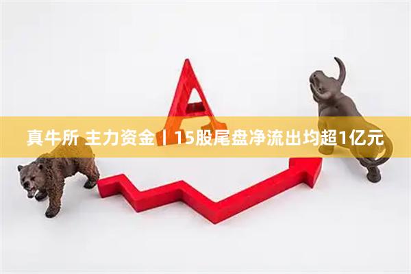 真牛所 主力资金丨15股尾盘净流出均超1亿元